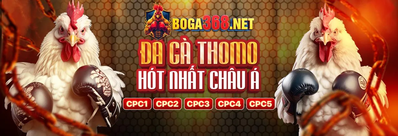 Các phương thức liên hệ hỗ trợ 99vin win